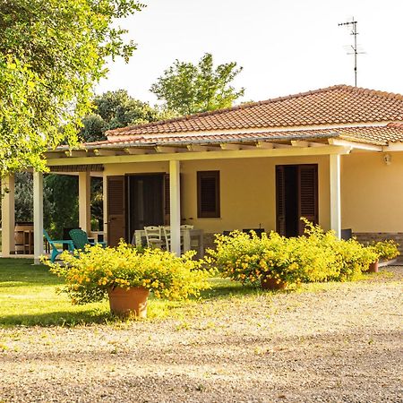 Bed and Breakfast The Vineyards Альгеро Экстерьер фото