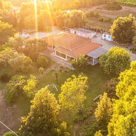 Bed and Breakfast The Vineyards Альгеро Экстерьер фото